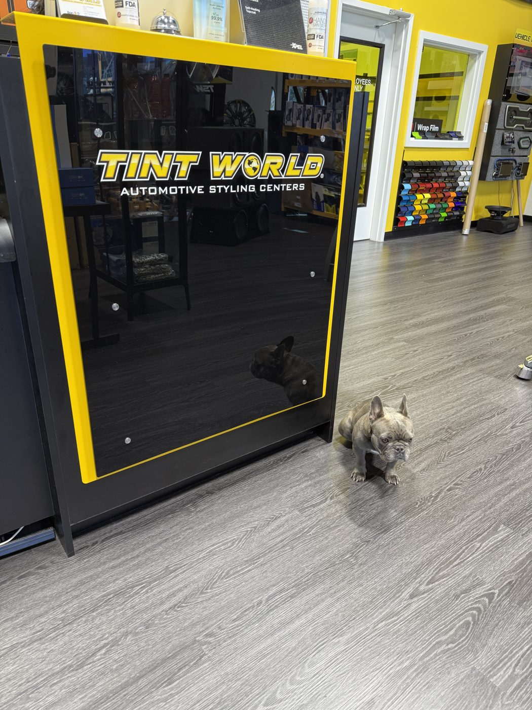 Tint World Sterling showroom with wrap film samples